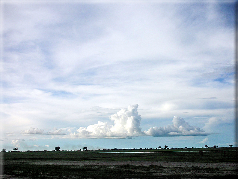 foto Parco nazionale del Chobe